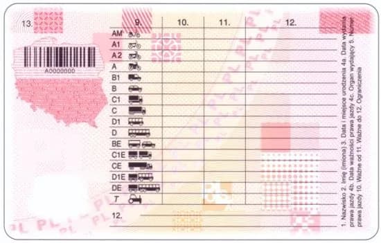 Jaką kategorię prawa jazdy potrzebujesz na tira? Sprawdź wymagania i koszty!