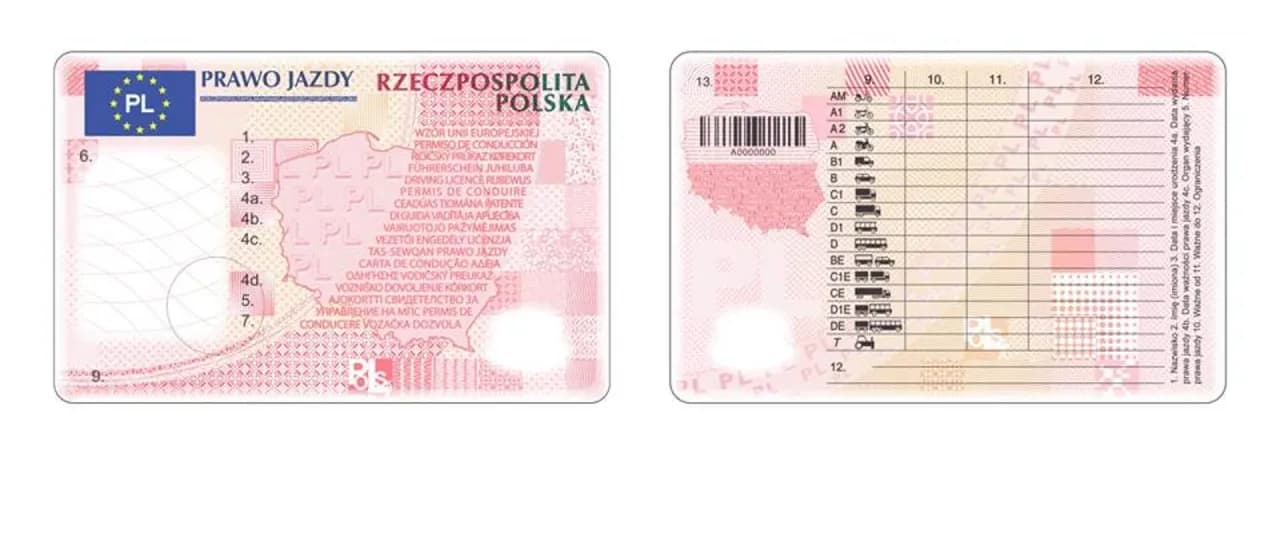 Jak zamówić prawo jazdy online - krok po kroku bez zbędnych problemów