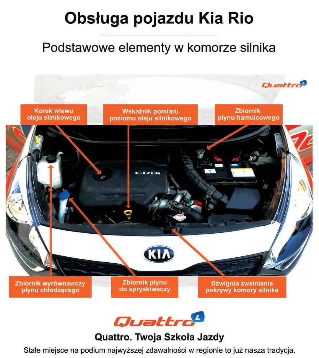 Co jest pod maską samochodu na egzamin? Kluczowe elementy, które musisz znać!