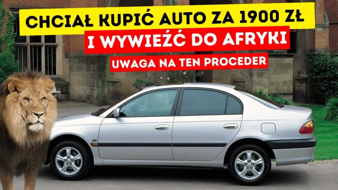 Skup samochodów do Afryki: Jak korzystnie sprzedać auto firmie?